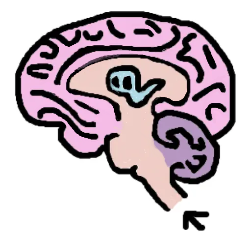 A Mind to Call Home