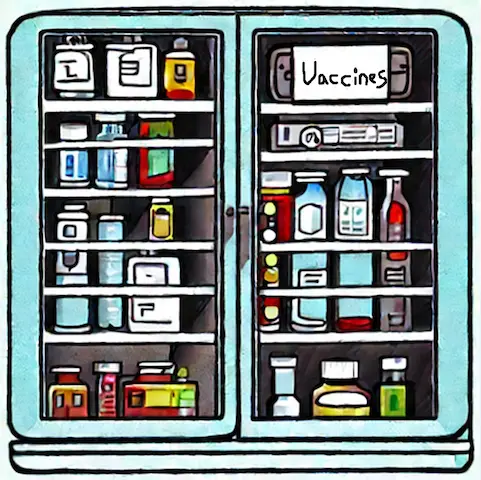 Vaccine Fridge